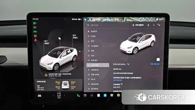 Tesla Model Y id 2905145 из Кореи 18