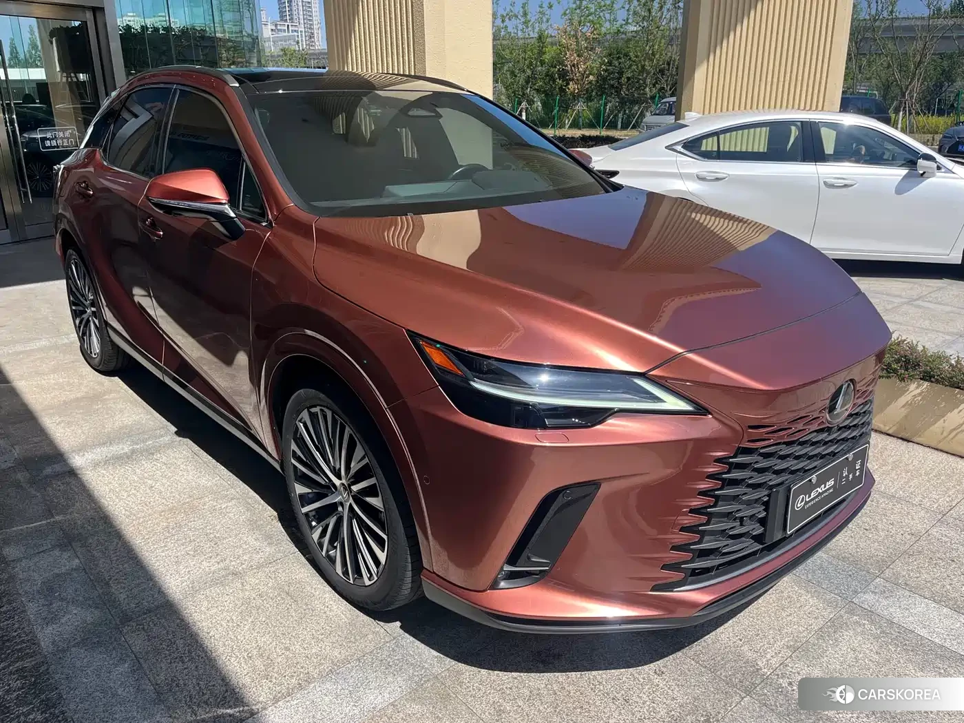 Lexus RX New Energy id 4553816 из Китая 15