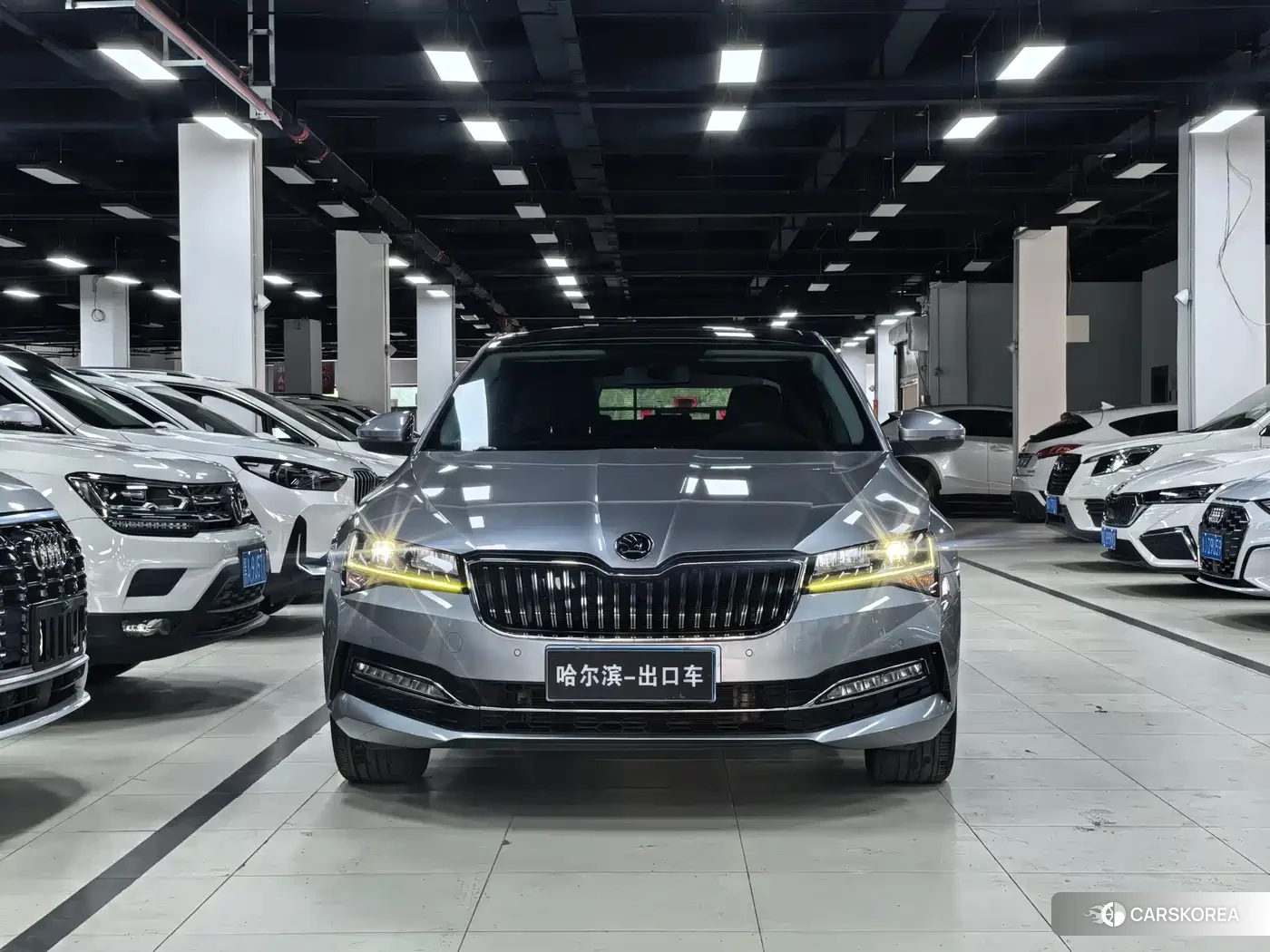 Skoda Speed pie id 4578277 из Китая 23
