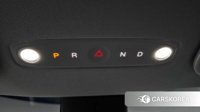 Tesla Model Y id 4602088 из Кореи 34