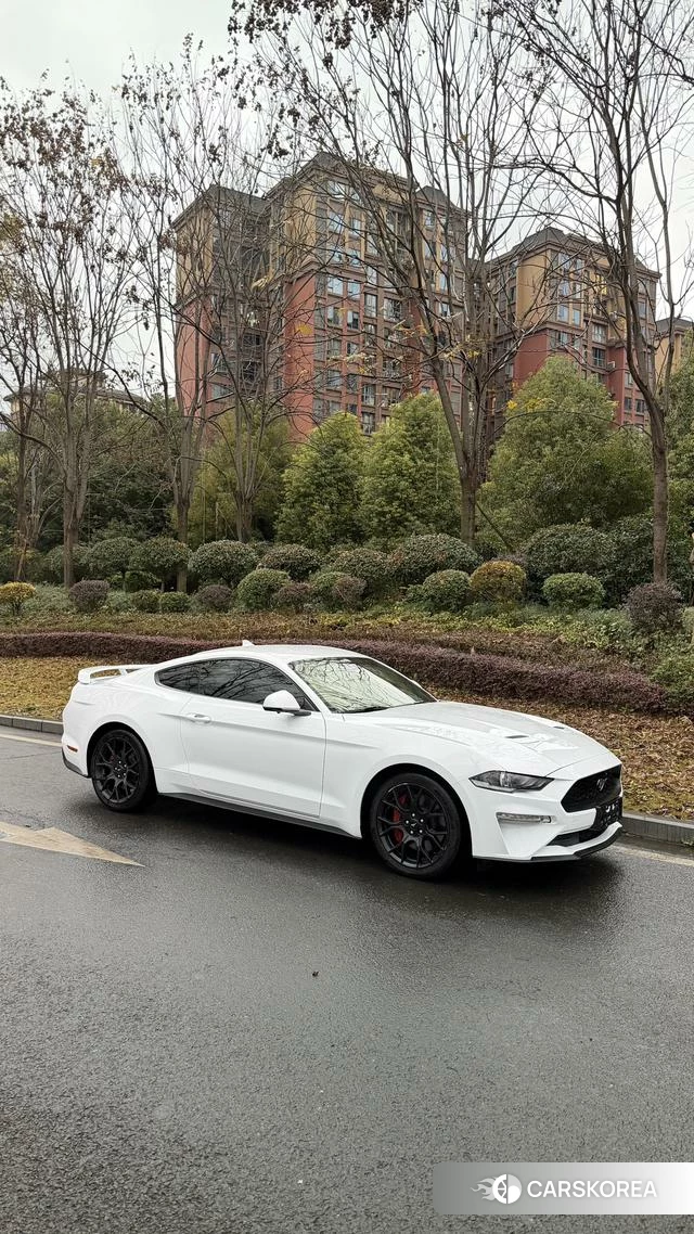 Ford Mustang id 4394172 из Китая 8