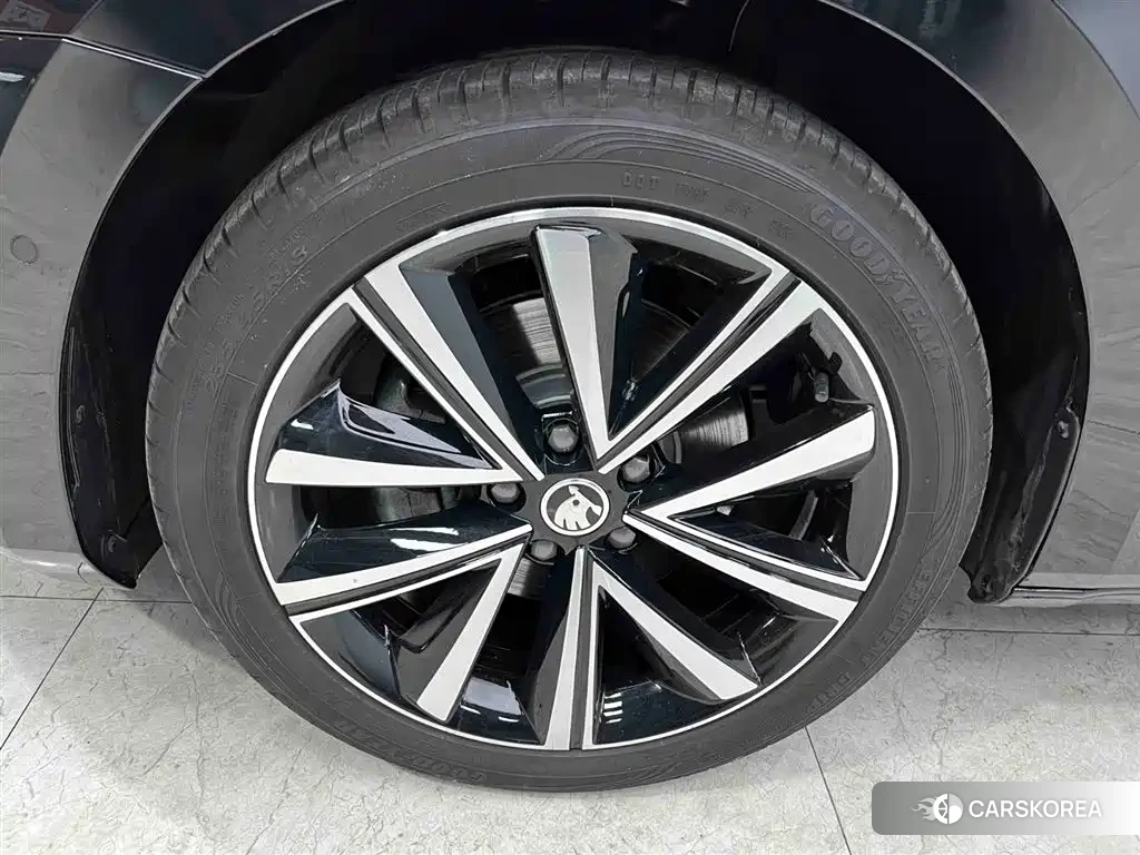 Skoda Speed pie id 4538728 из Китая 23