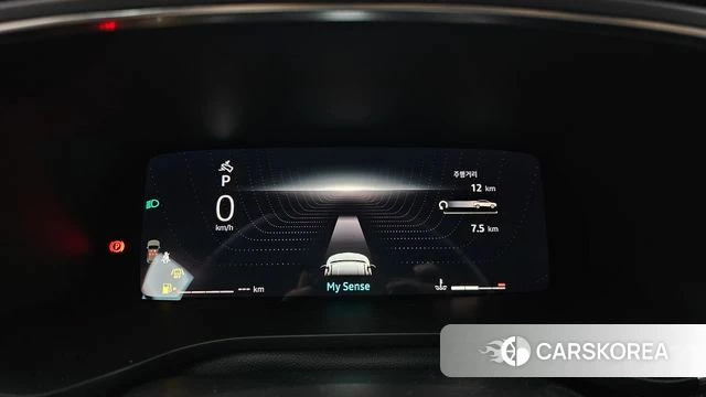 Renault Korea (Samsung) Arcana id 4612085 из Кореи 28