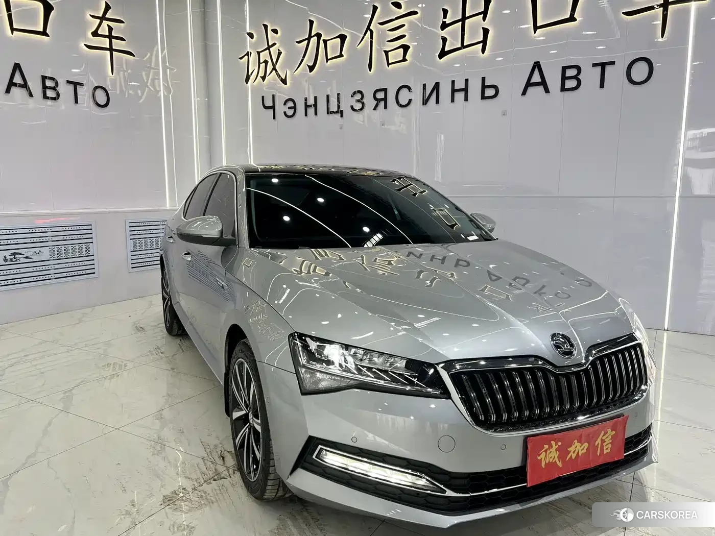 Skoda Speed pie id 4538812 из Китая 20