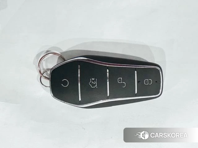 BYD dolphin id 4240193 из Китая 15
