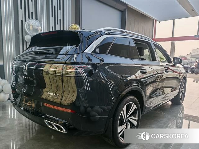 Volkswagen Range patrol id 4306969 из Китая 22