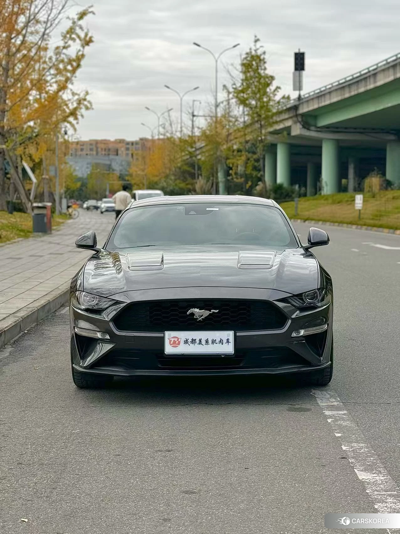Ford Mustang id 4419155 из Китая 8