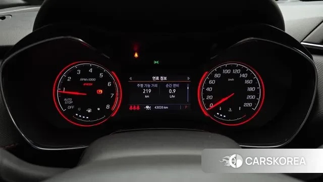 Chevrolet (GM Daewoo) Trailblazer id 3707282 из Кореи 18