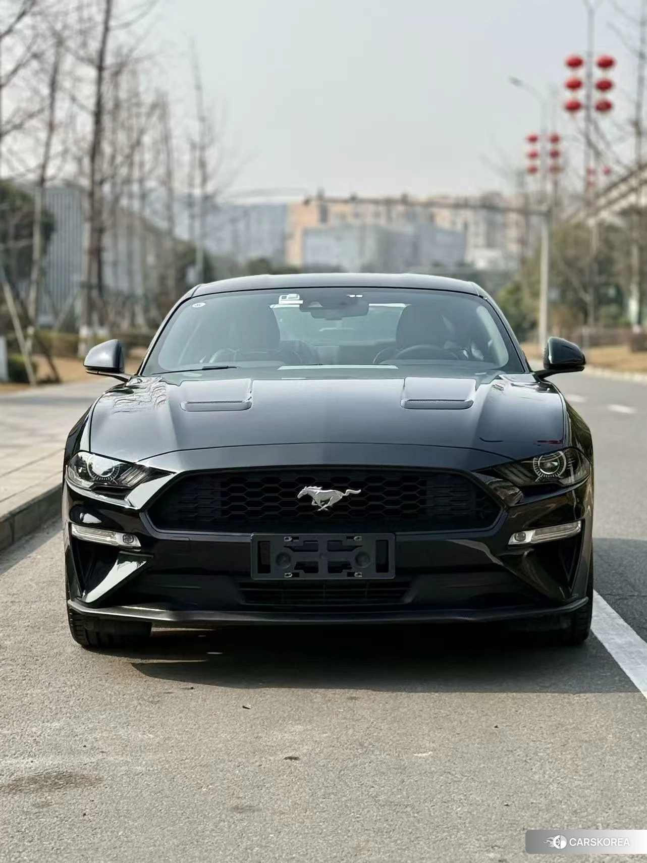 Ford Mustang id 4426906 из Китая 8