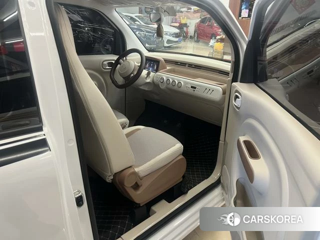 Pentium pony id 4198935 из Китая 8