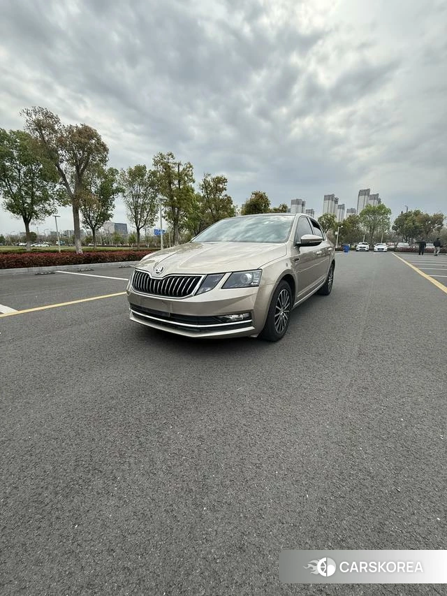 Skoda Octavia id 4242358 из Китая 10