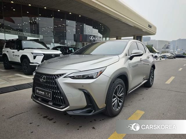 Lexus NX id 4240126 из Китая 19