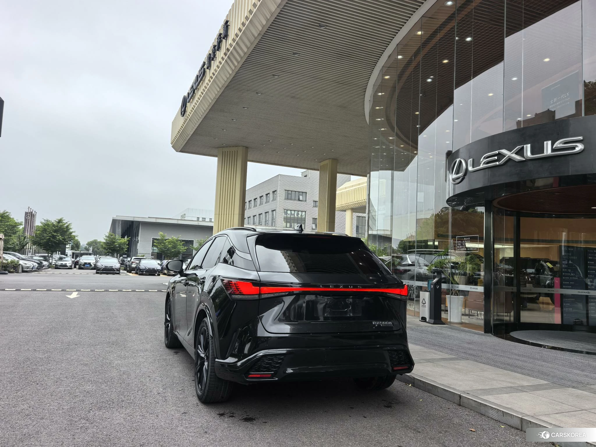 Lexus RX id 4420211 из Китая 16