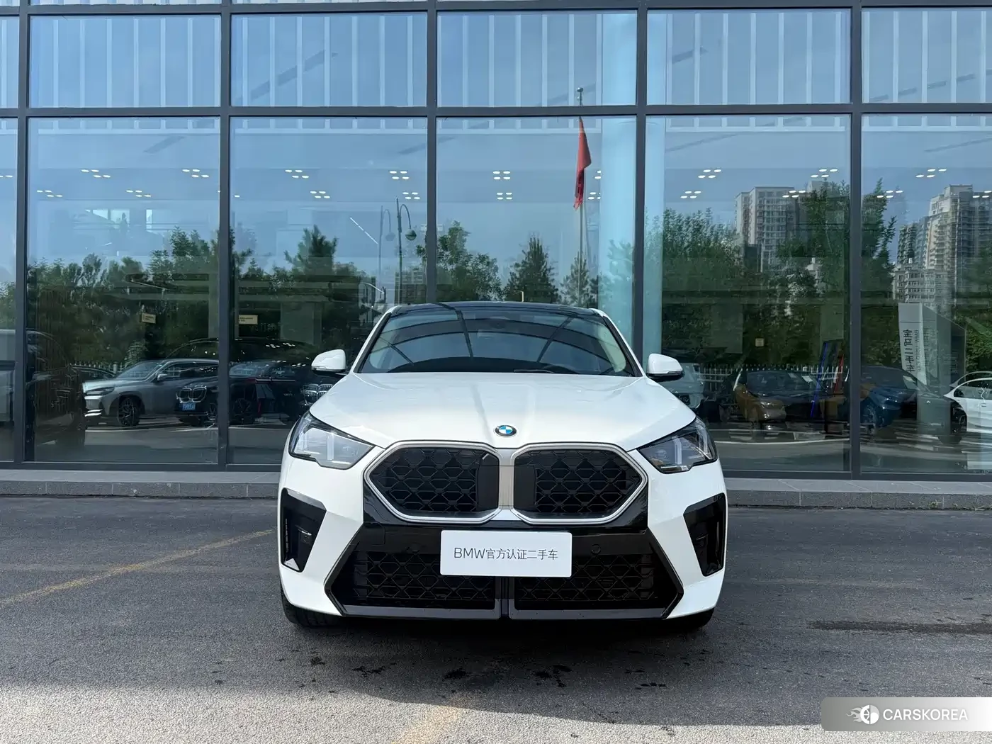 BMW X2 id 4617188 из Китая 8