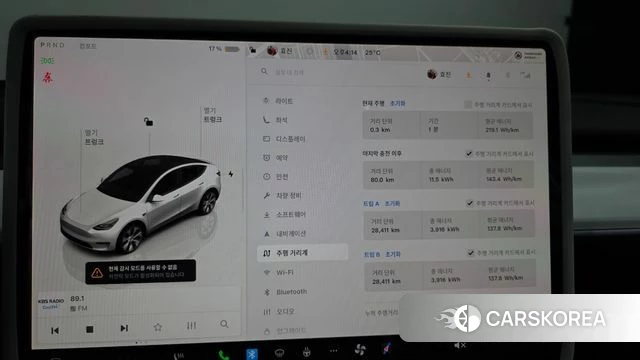 Tesla Model Y id 3933994 из Кореи 18