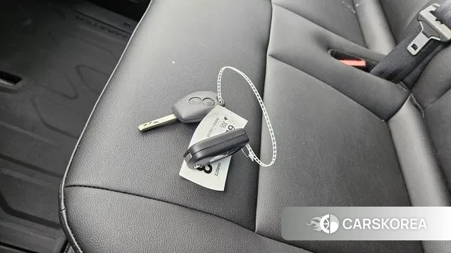 Renault Korea (Samsung) Master id 3415323 из Кореи 18