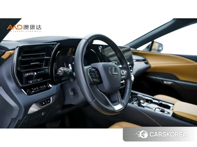 Lexus RX id 4262013 из Китая 8