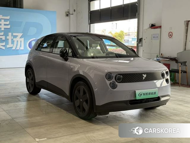 firefly firefly Unknown id 3908796 из Китая 8