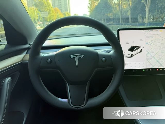 Tesla Model 3 id 4209760 из Китая 16
