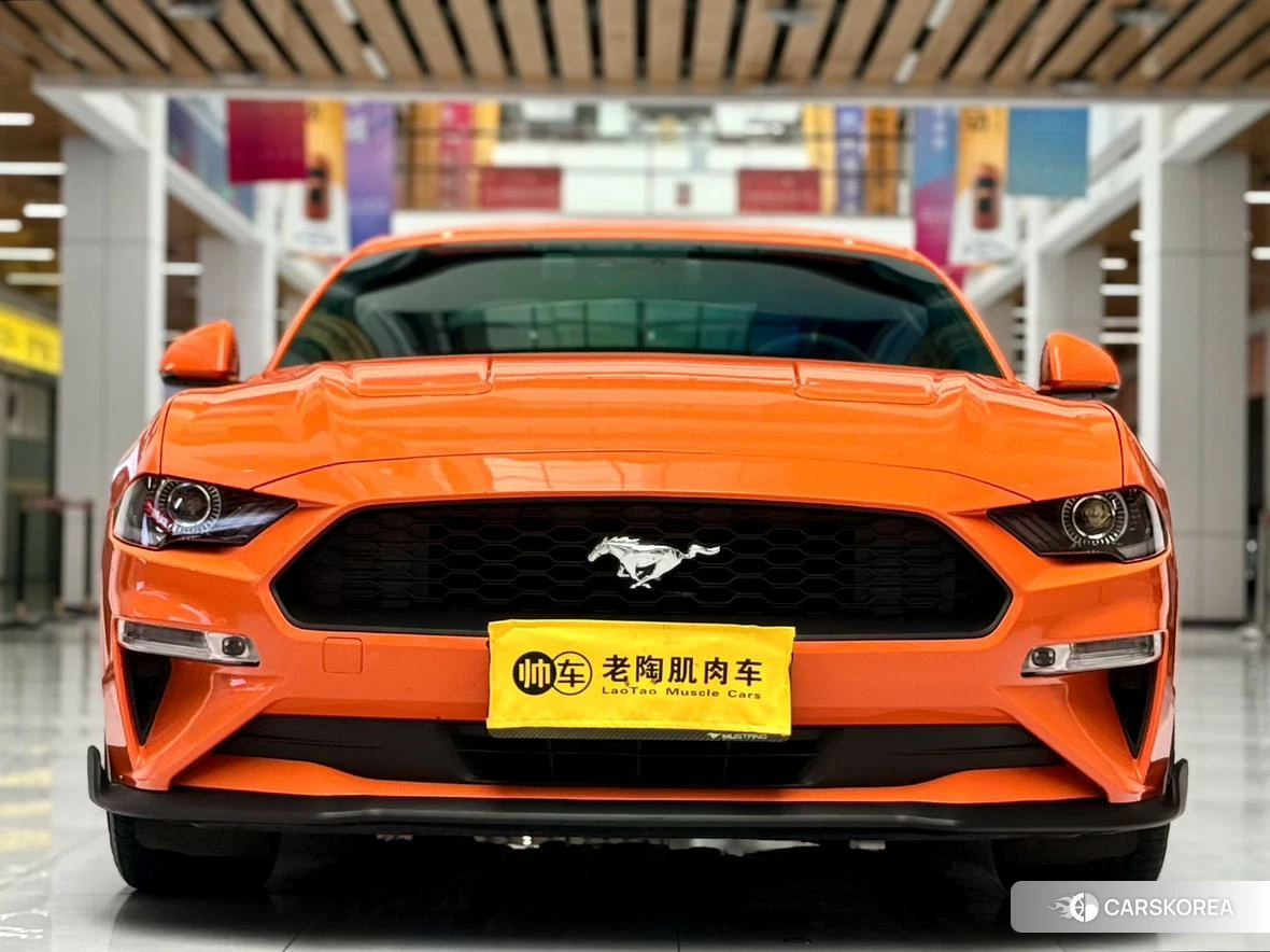 Ford Mustang id 4512765 из Китая 8