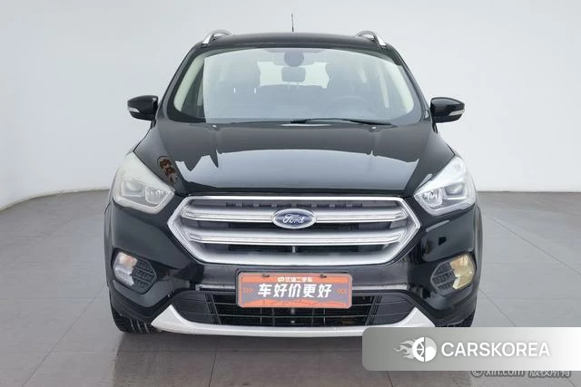 Ford Winged Tiger id 4236128 из Китая 22