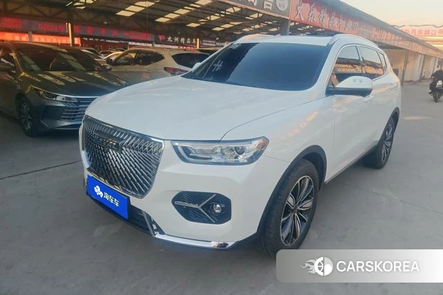 Haval H6 id 4207451 из Китая 15
