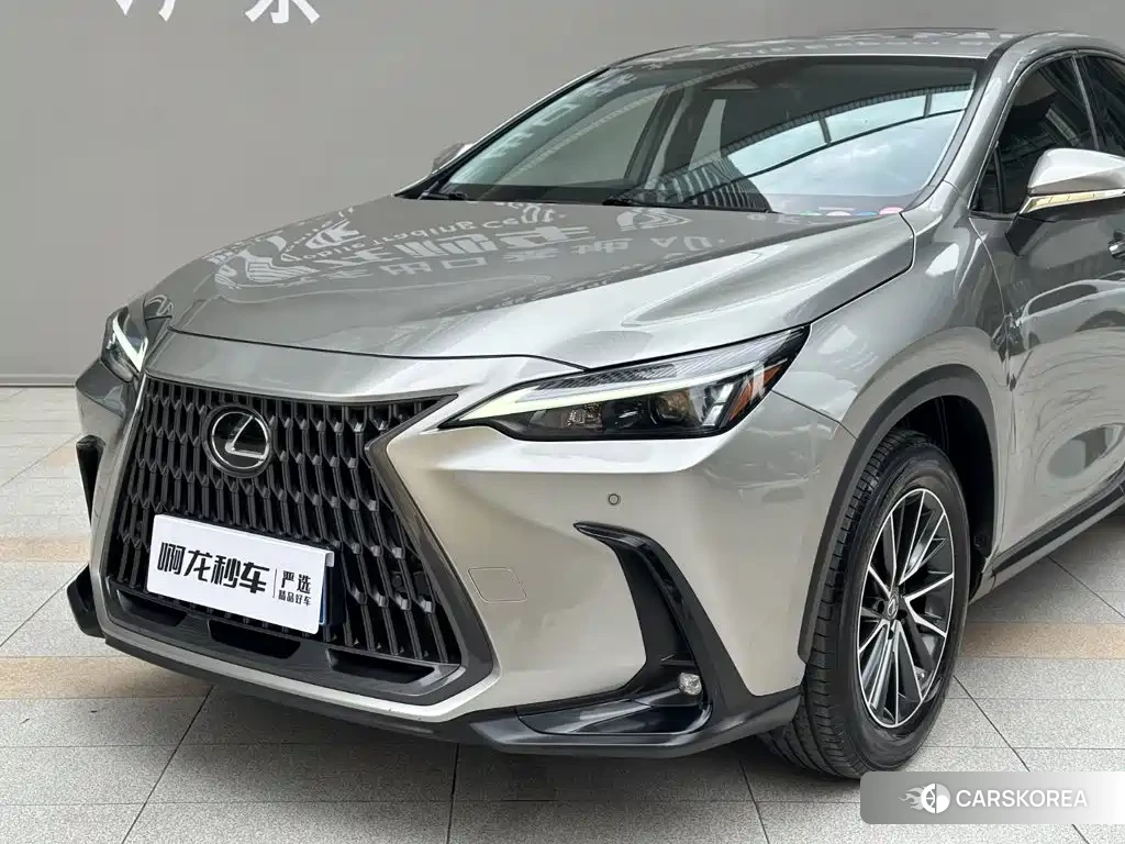 Lexus NX id 4680739 из Китая 21