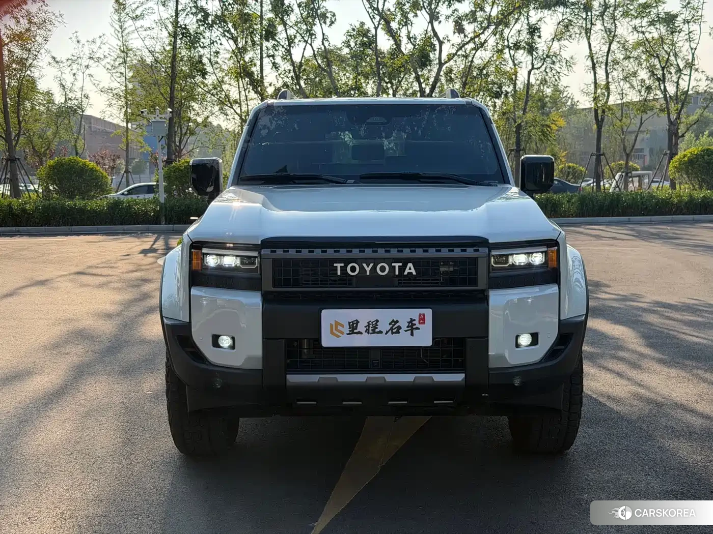 Toyota Land Cruiser id 4554135 из Китая 17