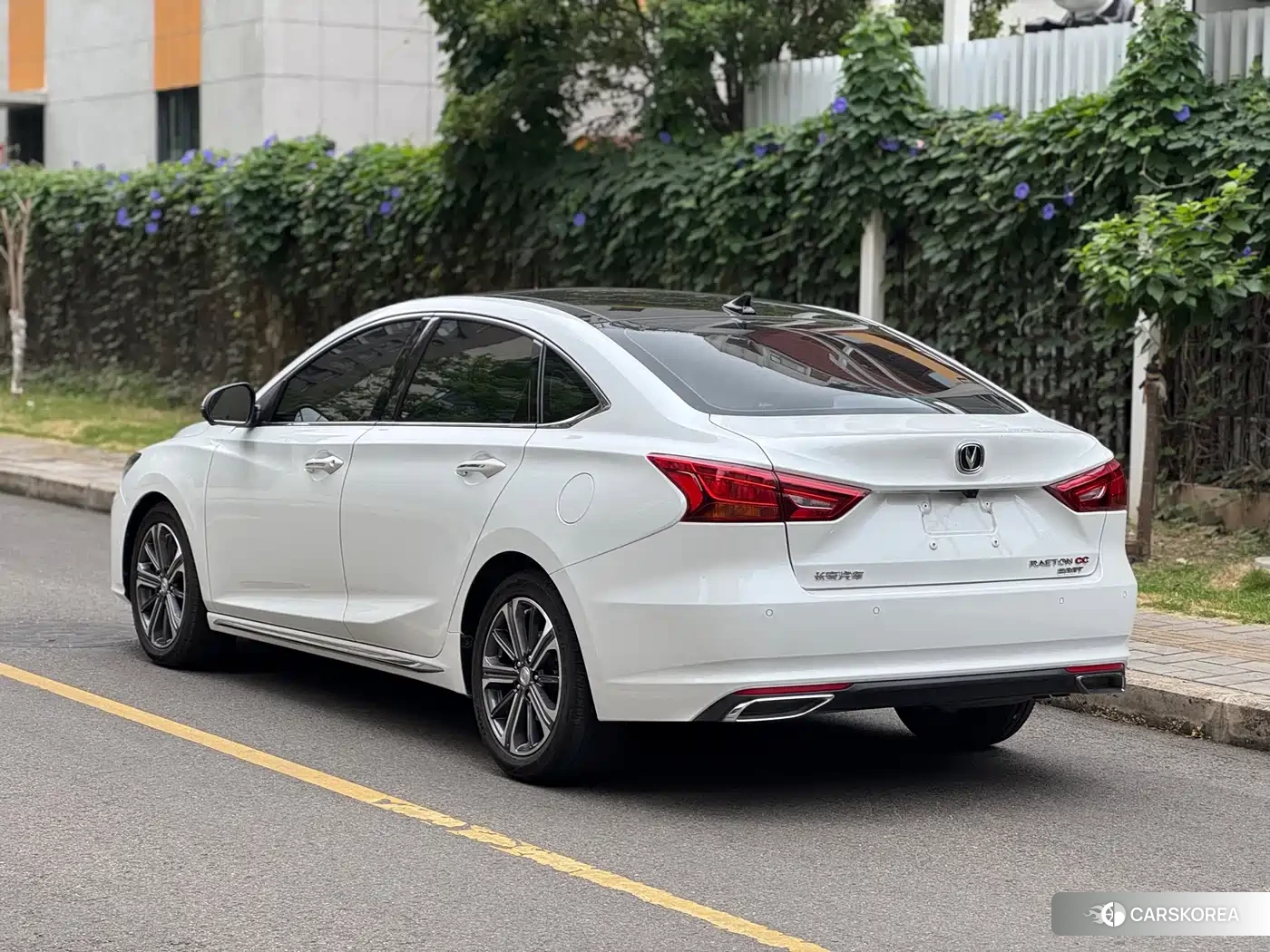Chang'an Ruicheng CC id 4545882 из Китая 20