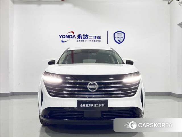 Nissan Exploring the land id 4276250 из Китая 15