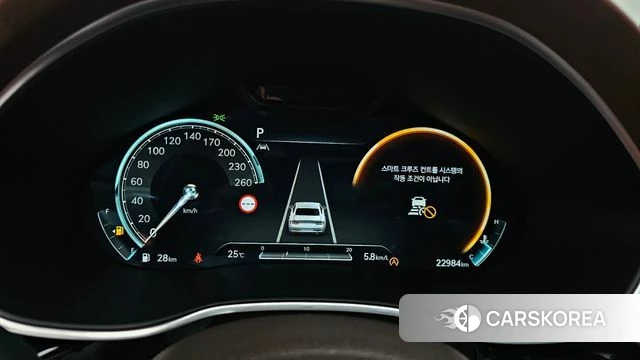 Genesis G80 (RG3) id 4500915 из Кореи 31