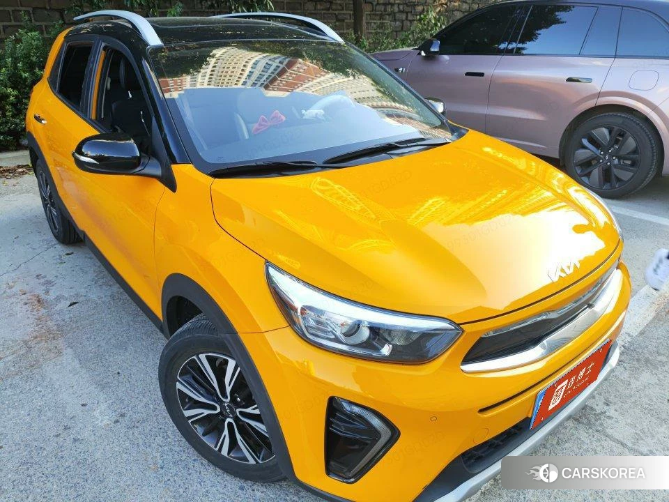 Kia Yi Ran id 4426508 из Китая 11