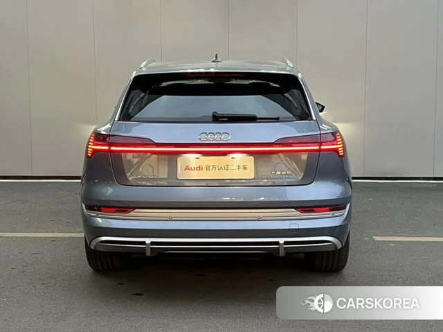 Audi e-tron id 4259095 из Китая 17