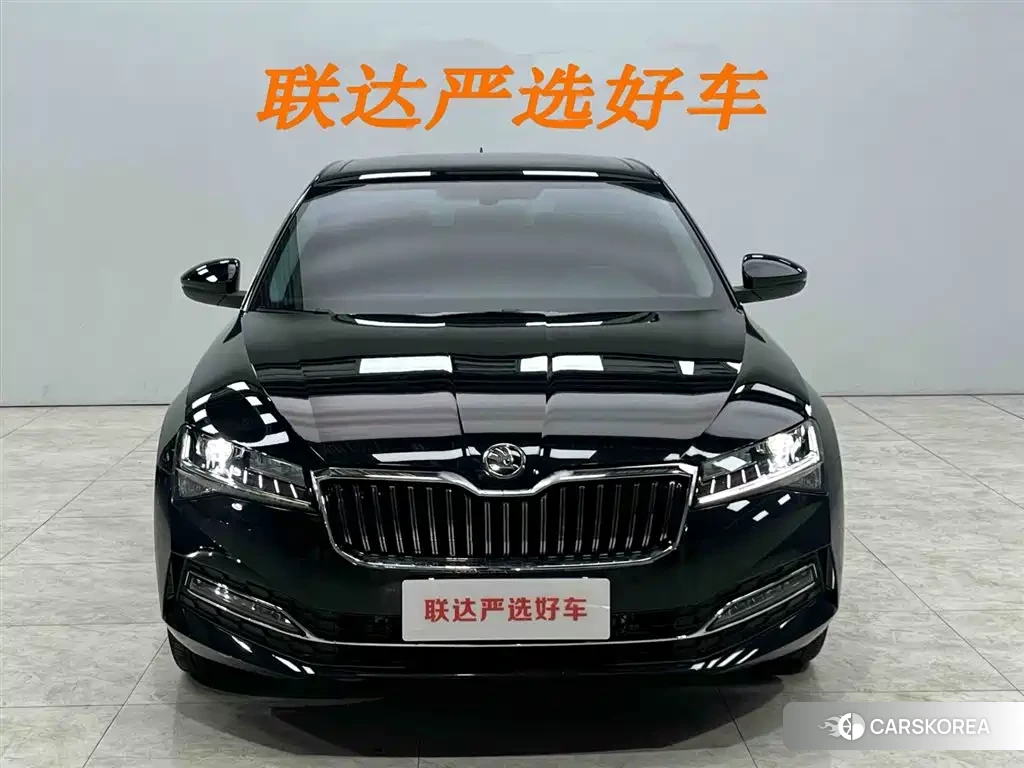 Skoda Speed pie id 4515526 из Китая 23