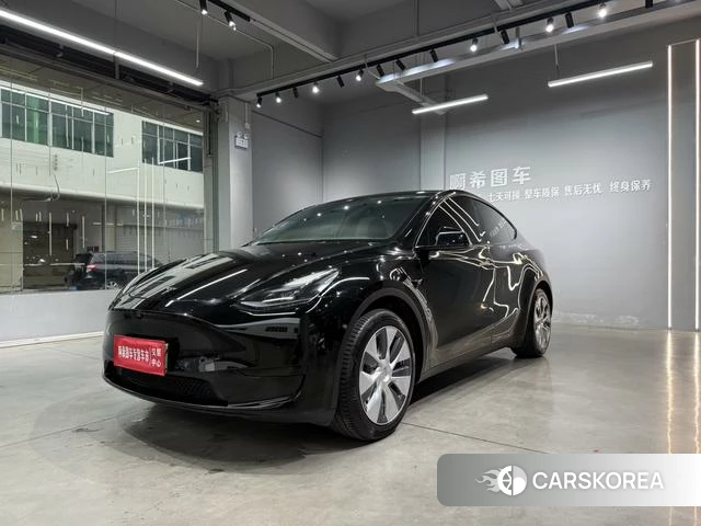 Tesla Model Y id 4182695 из Китая 38