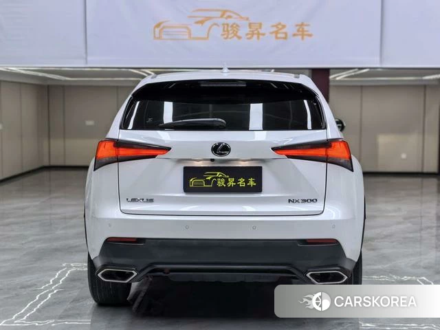 Lexus NX id 4221260 из Китая 32