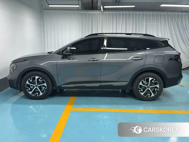 Kia Lion Platinum expands the world id 4277449 из Китая 18