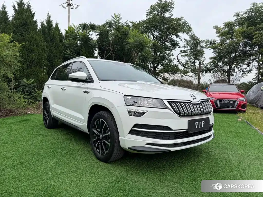 Skoda Krok id 4576506 из Китая 13