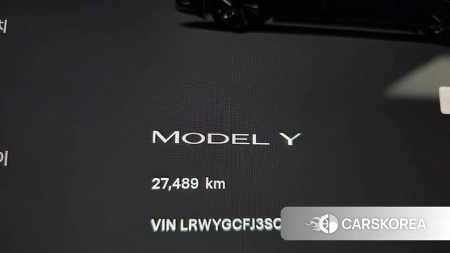 Tesla Model Y id 4584193 из Кореи 18