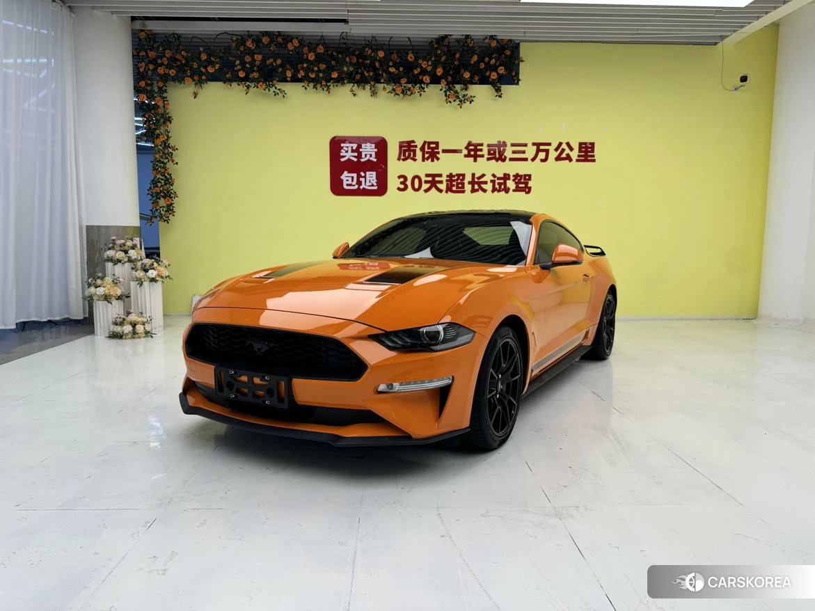 Ford Mustang id 4440367 из Китая 14