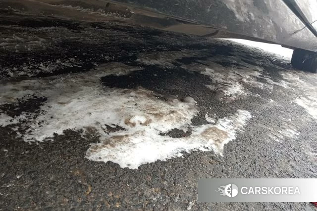 Volkswagen Magotan PHEV id 4328772 из Китая 15