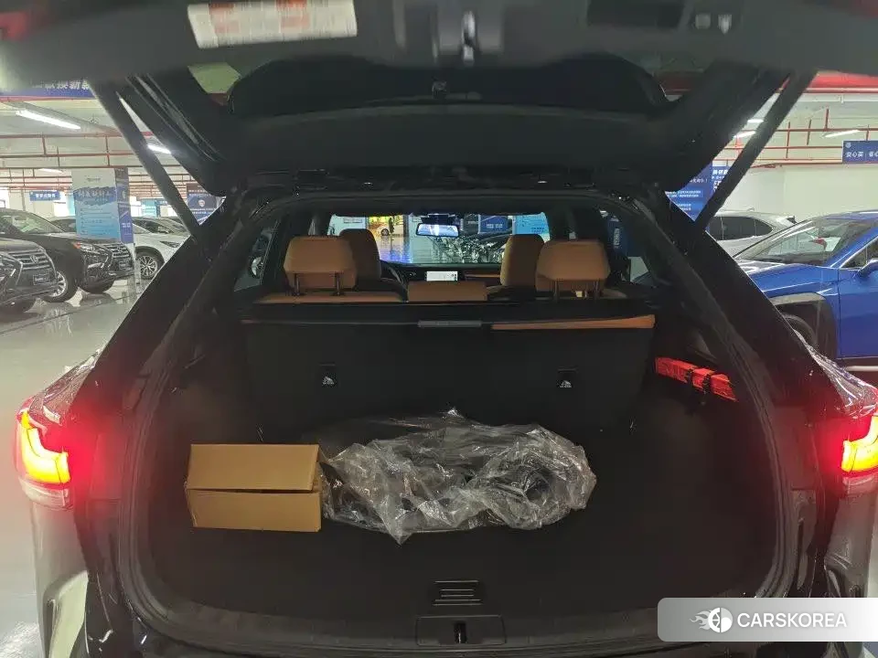 Lexus RX id 4644520 из Китая 13