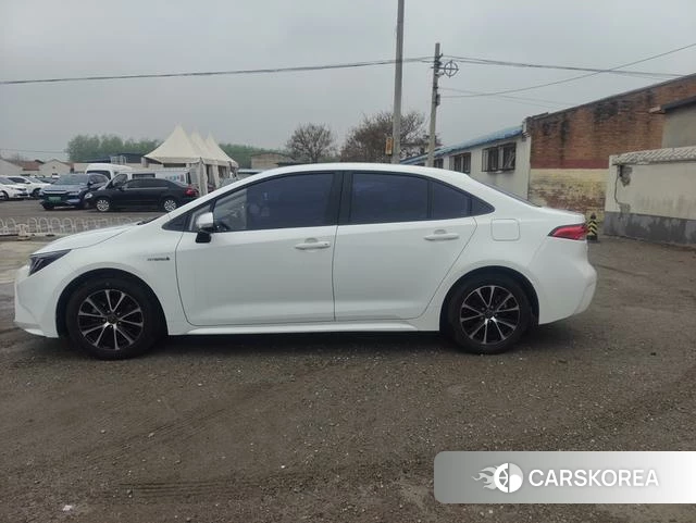 Toyota Lei Ling id 4258524 из Китая 14