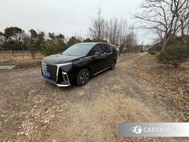 Chase G90 id 4239239 из Китая 8