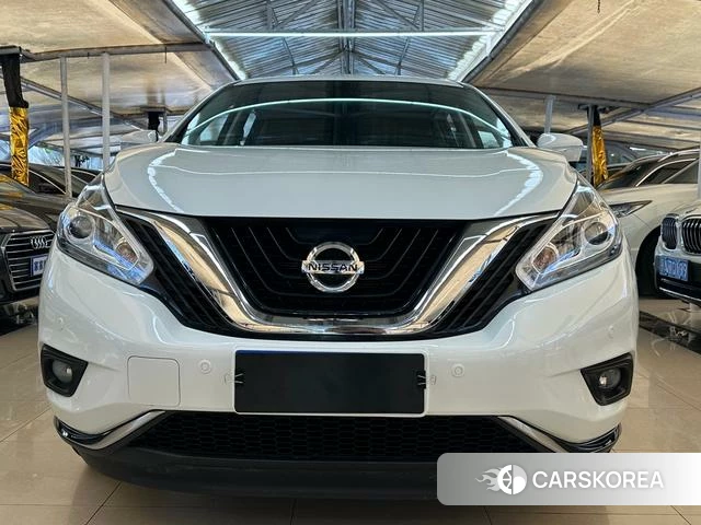 Nissan Loulan id 4374560 из Китая 8