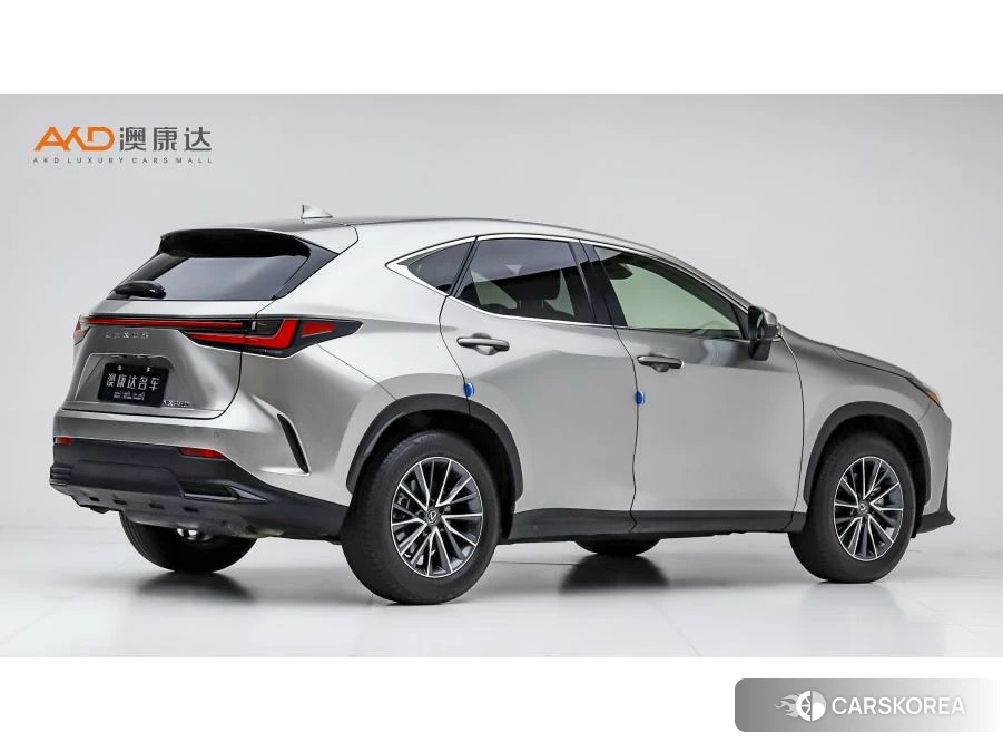 Lexus NX id 4513987 из Китая 8