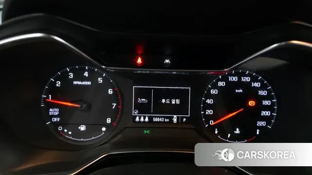 Chevrolet (GM Daewoo) Trailblazer id 3759769 из Кореи 18