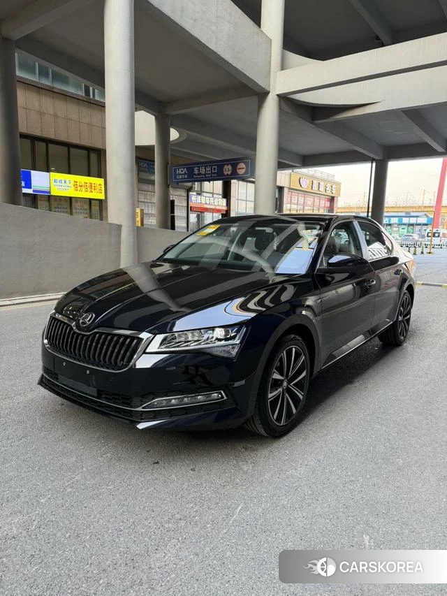 Skoda Speed pie id 4182603 из Китая 19