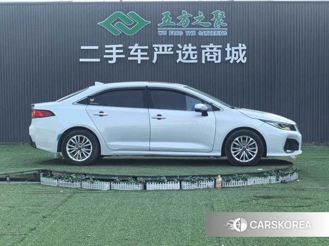 Toyota Asian lion id 4258694 из Китая 18