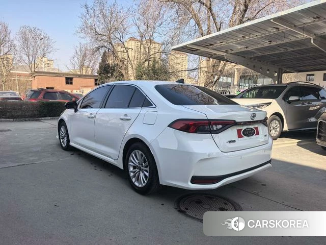 Toyota Asian lion id 4273390 из Китая 8